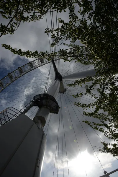 DSC_2803 (Large).JPG